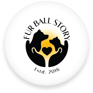 Fur Ball Story