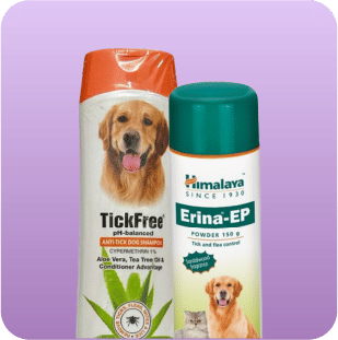 Ticks & Flea Ticks & Flea