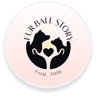Fur Ball Story