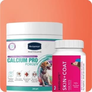 Pet Supplements Pet Supplements