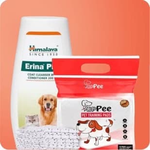 Pet Grooming Pet Grooming