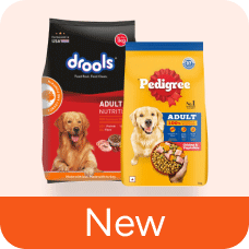 Pet Care Pet Care