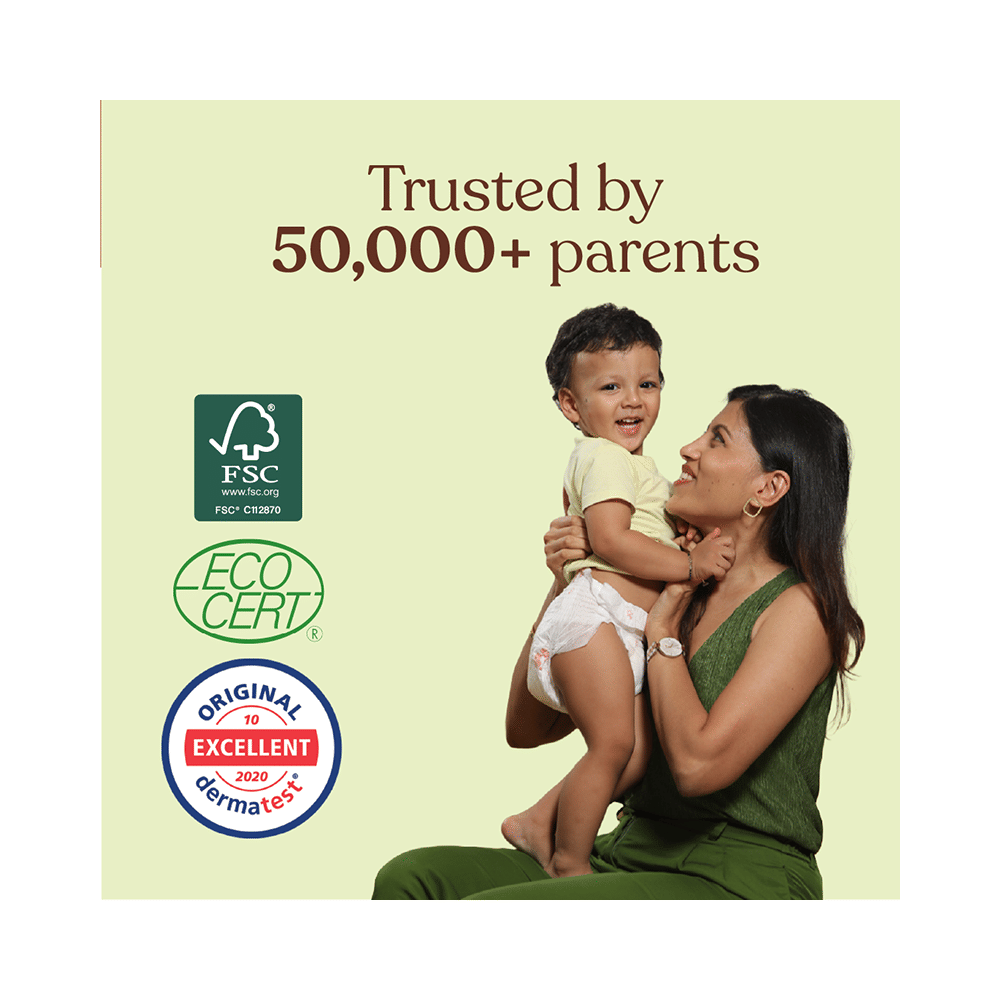 .allter Organic Bamboo Chemical Free Diaper Pant Large