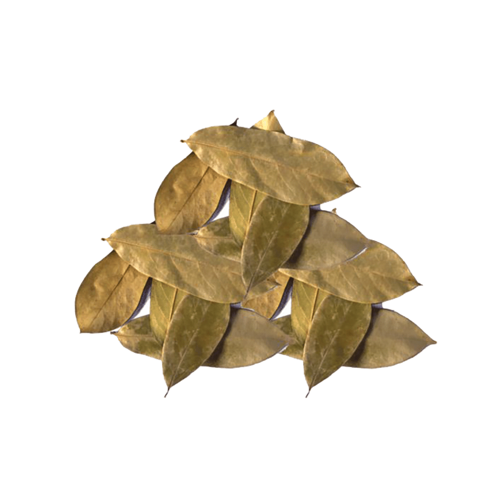 Soursop Leaves for Immunity, Healthy Cells, Antibiotics & Mood Support