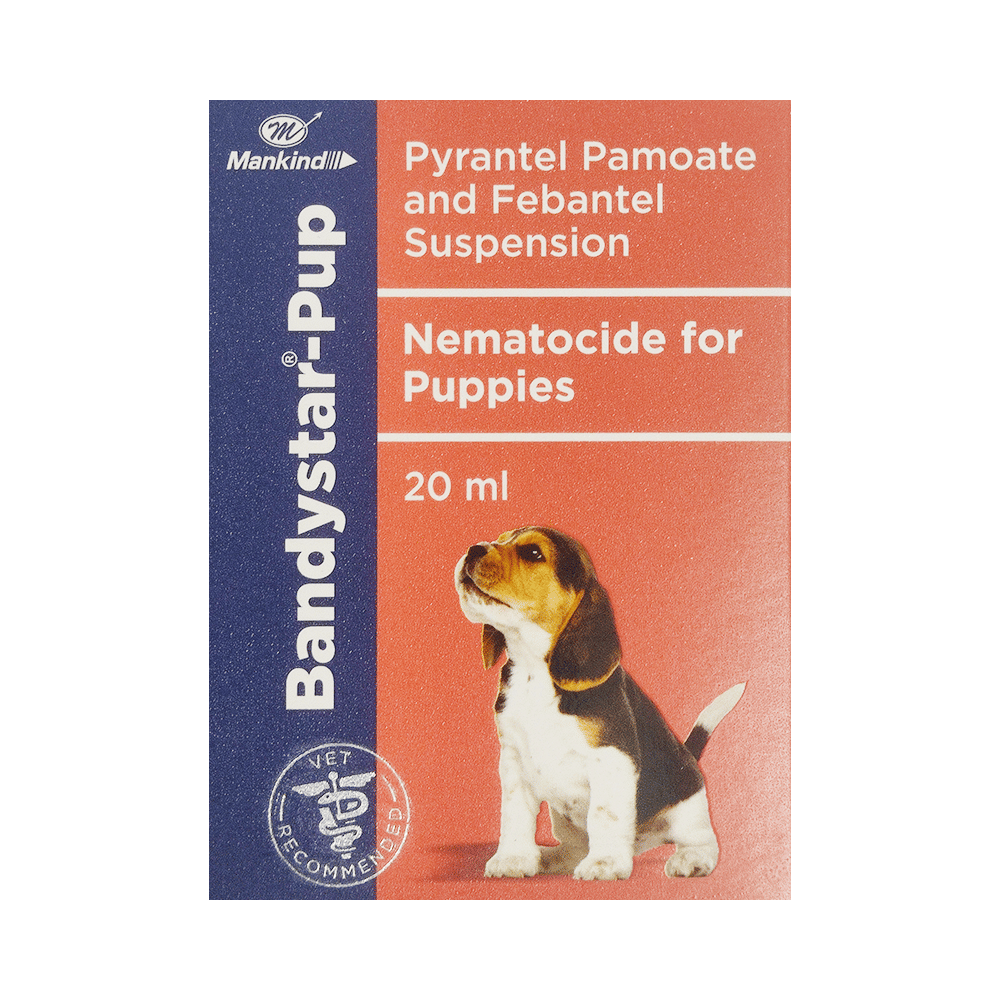 Bandystar Pup Pet Oral Suspension