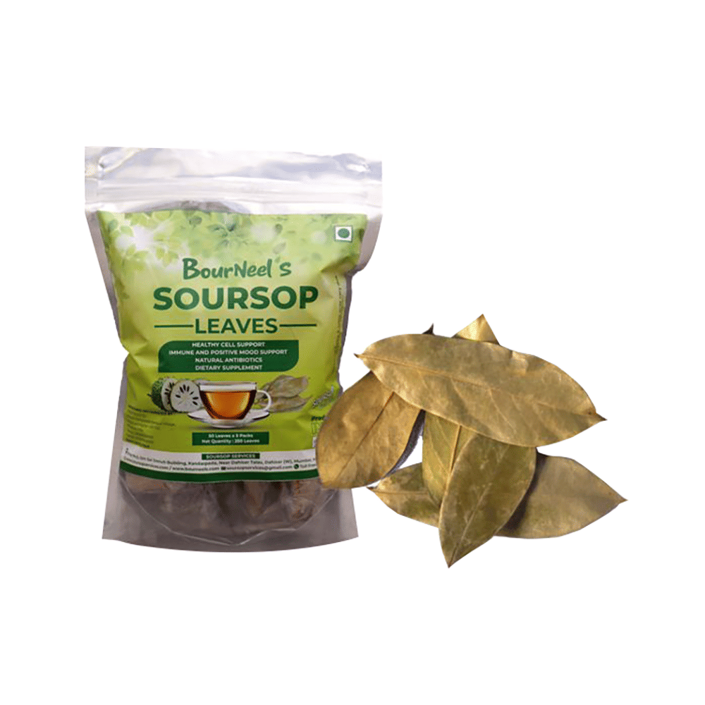 Soursop Leaves for Immunity, Healthy Cells, Antibiotics & Mood Support
