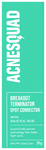 ASQ Breakout Terminator Spot Corrector with Salicylic Acid