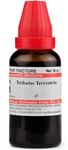 Dr Willmar Schwabe India Tribulus Terrestris Mother Tincture Q