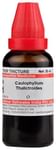 Dr Willmar Schwabe India Caulophyllum Thalictroides Mother Tincture Q