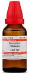 Dr Willmar Schwabe India Rosmarinus Officinalis Dilution 1000 CH