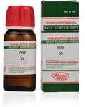Bhandari Bach Flower Vine 30