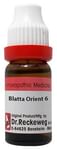 Dr. Reckeweg Blatta Orient Dilution 6 CH