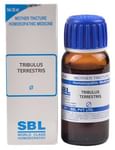 SBL Tribulus Terrestris Mother Tincture Q
