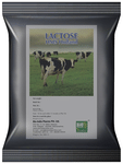 Bio India Lactose HMS Holland Powder