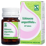 Dr Willmar Schwabe India Echinacea Angustifolia Tablet 1X