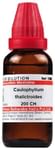 Dr Willmar Schwabe India Caulophyllum Thalictroides Dilution 200 CH