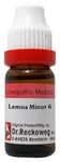 Dr. Reckeweg Lemna Minor Dilution 6 CH