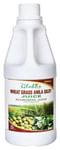 Globus Wheat Grass,Amla,Giloy Juice