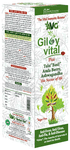 AVG Giloy Vital Sugar Free