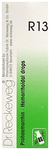 Dr. Reckeweg R13 Hemorrhoidal Drop