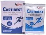 Cartibest Sachet Sugar Free