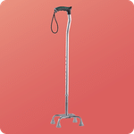 Walking Sticks