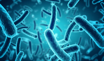 Bacterial infections