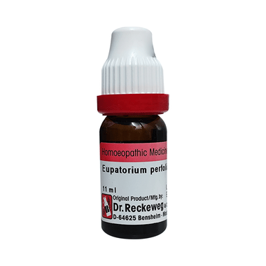 Dr. Reckeweg Eupatorium Perf Dilution 30 CH