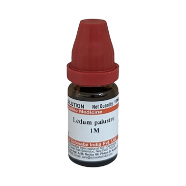 Dr Willmar Schwabe India Ledum Palustre Dilution 1M