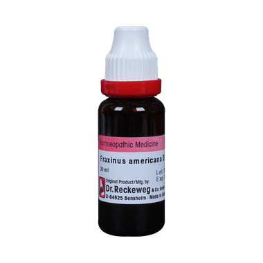 Dr. Reckeweg Fraxinus Amer Mother Tincture Q