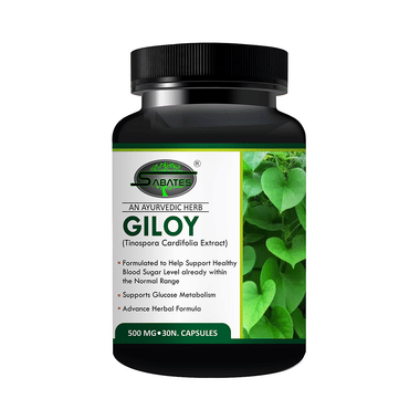 Sabates Giloy Capsule