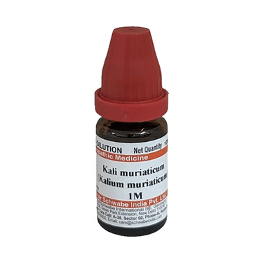 Dr Willmar Schwabe India Kali Muriaticum Dilution 1M