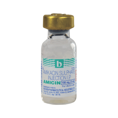 Amicin 100mg Injection
