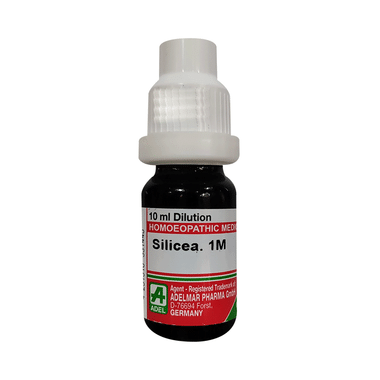 ADEL Silicea Terra Dilution 1M