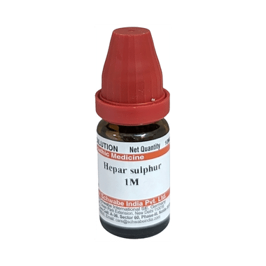 Dr Willmar Schwabe India Hepar Sulphur Dilution 1M