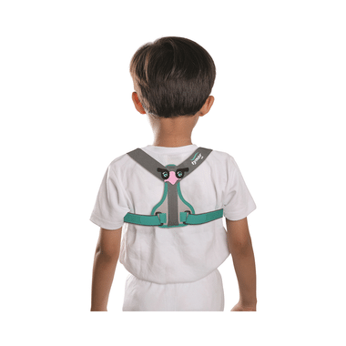 Tynor C 05 Clavicle Brace With Velcro Junior Child Grey