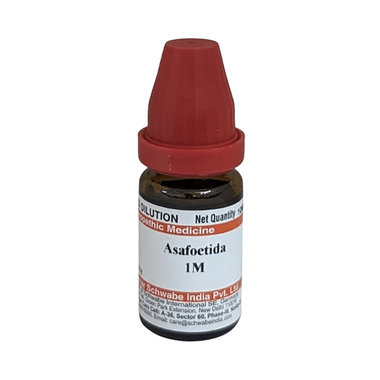 Dr Willmar Schwabe India Asafoetida Dilution 1M