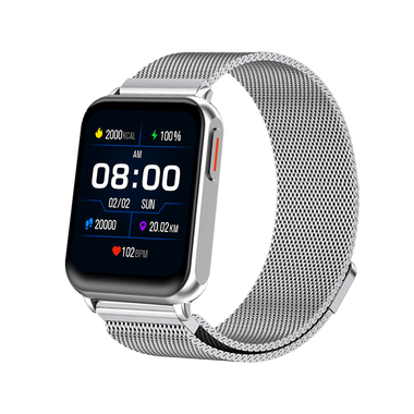 Fire-Boltt King Smartwatch Silver SS