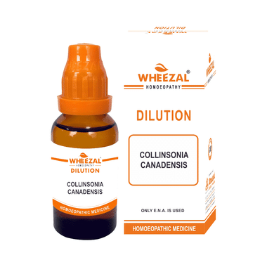 Wheezal Collinsonia Canadensis Dilution 6