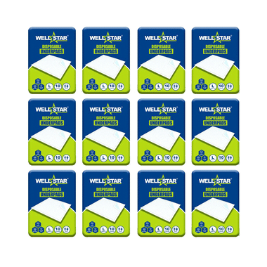 Wellstar Disposable Underpads (10 Each) Diaper