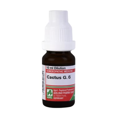 ADEL Cactus G. Dilution 6