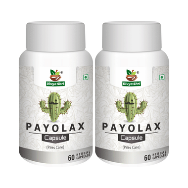 Divya Shri Payolax Capsule (60 Each)