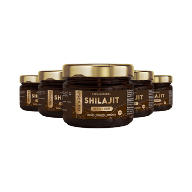 Nirvasa 100% Natural Shilajit Resin Form (20gm Each)
