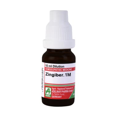 ADEL Zingiber Dilution 1M