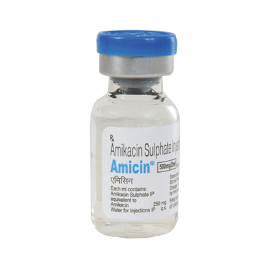 Amicin 500mg Injection