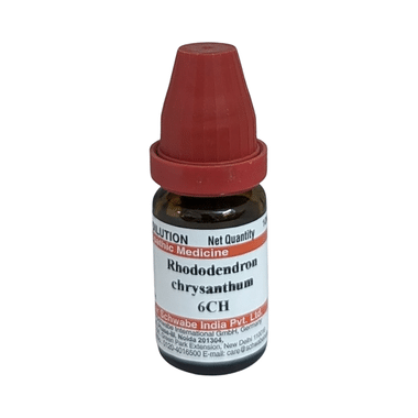 Dr Willmar Schwabe India Rhododendron Chrysanthum Dilution 6 CH