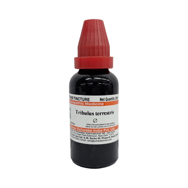 Dr Willmar Schwabe India Tribulus Terrestris Mother Tincture Q