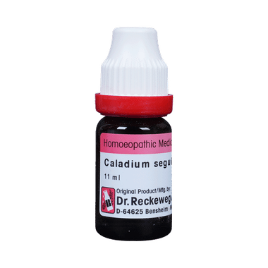 Dr. Reckeweg Caladium Seg Dilution 200 CH