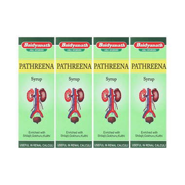 Baidyanath (Jhansi) Pathreena Syrup (200ml Each)