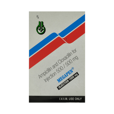 Megapen 1 gm Injection